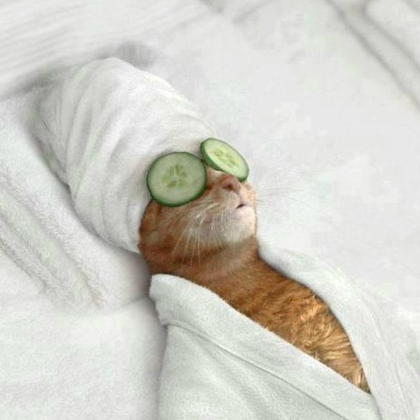 killedbytrend limpiador facial portada.jpg